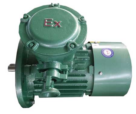 ybx4防爆電機(jī)采用的主要技術(shù)有哪些？